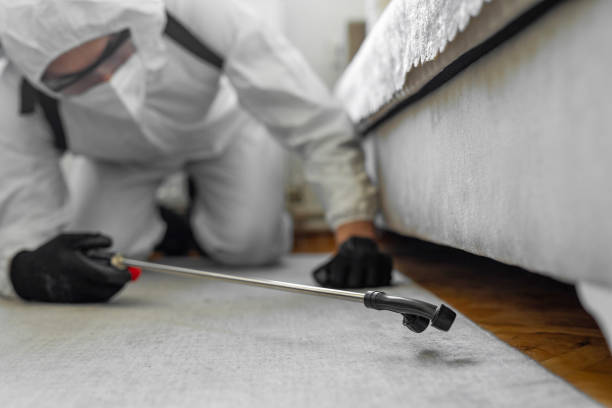 Professional Termite Control technician working in London, CA