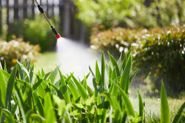24/7 Emergency Termite Control experts in London, CA